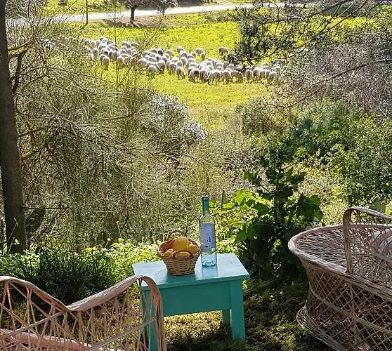 Romance Valdareina, Piscine Chauffee, Benagil-carvoeiro 아파트