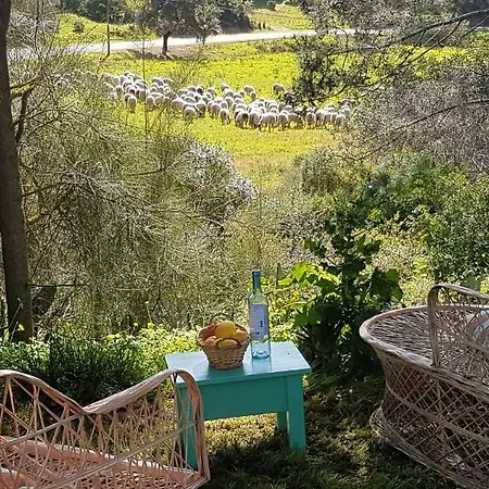 Casa Romance Da Valdareina, Bénagil, Carvoeiro, Marinha Appartement