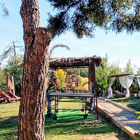 Casa Romance Da Valdareina, Bénagil, Carvoeiro, Marinha Carvoeiro (Lagoa)