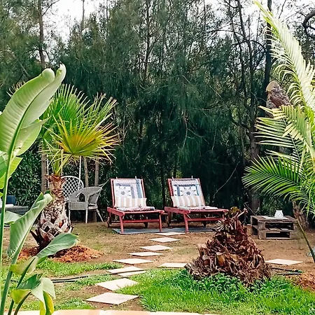 Romance Valdareina, Piscine Chauffee, Benagil-carvoeiro דירה קארבואירו